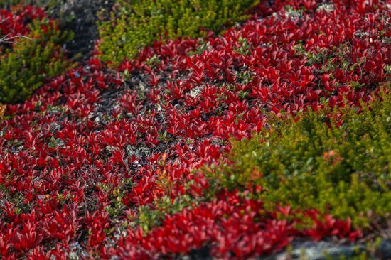 Regions of Russia. Kola Peninsula