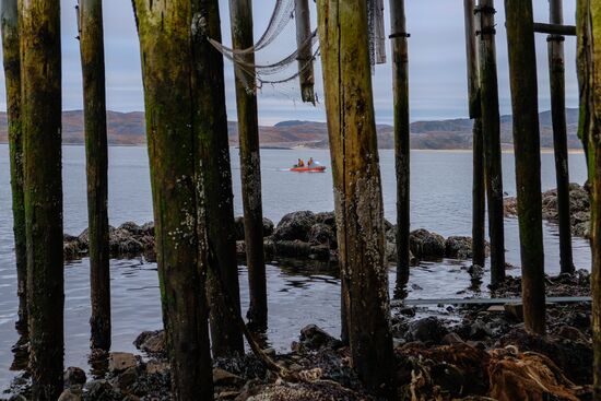 Regions of Russia. Kola Peninsula