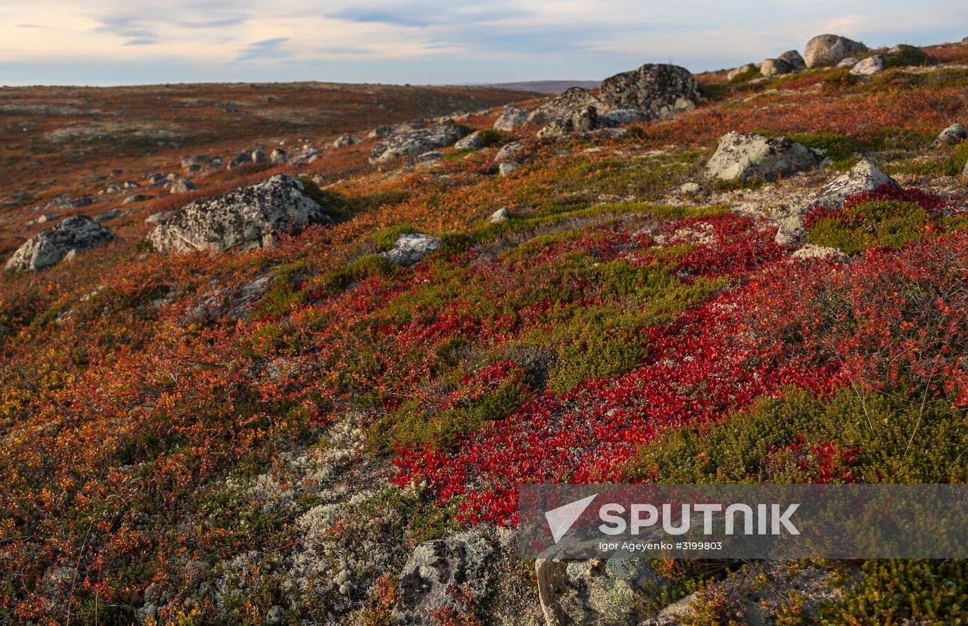 Regions of Russia. Kola Peninsula