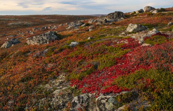 Regions of Russia. Kola Peninsula