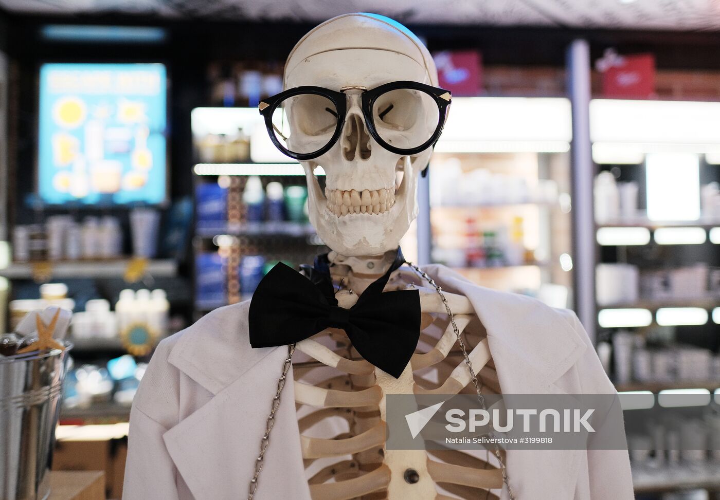Skeleton