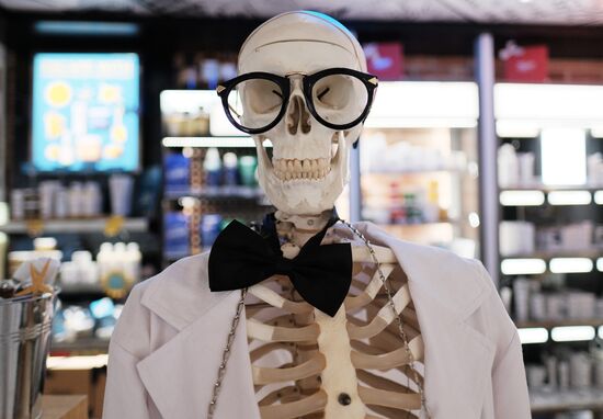 Skeleton