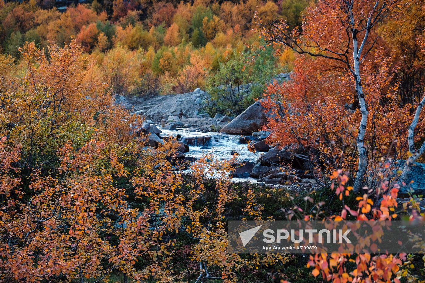 Russian regions. Kola Peninsula