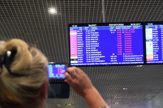 VIM-Avia airline stops chartered flights