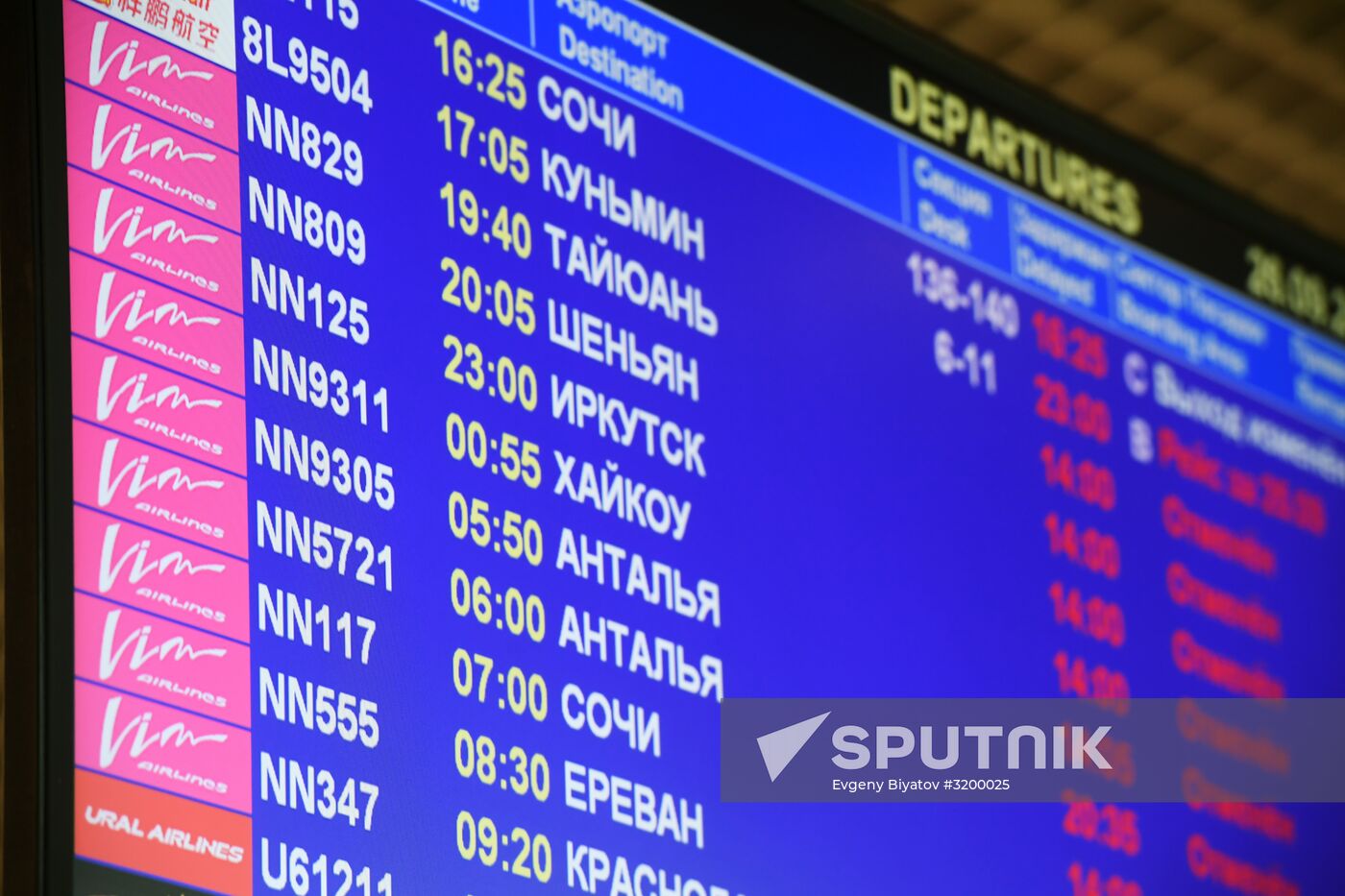 VIM-Avia airline stops chartered flights