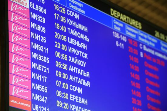 VIM-Avia airline stops chartered flights