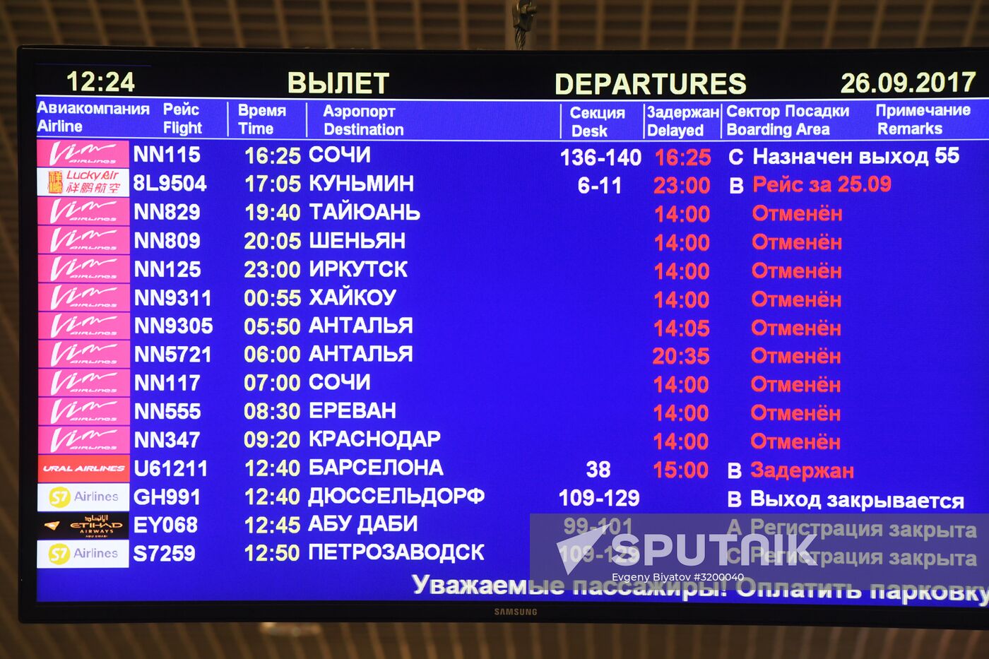 VIM-Avia airline stops chartered flights