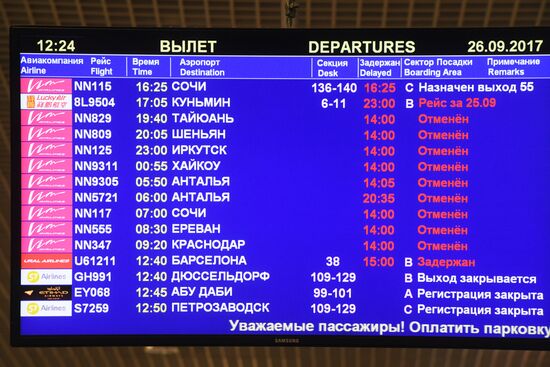 VIM-Avia airline stops chartered flights