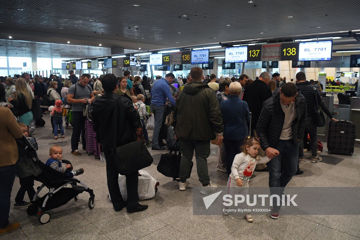 VIM-Avia airline stops chartered flights