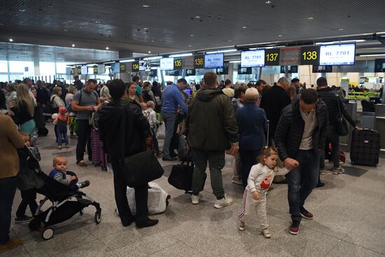 VIM-Avia airline stops chartered flights