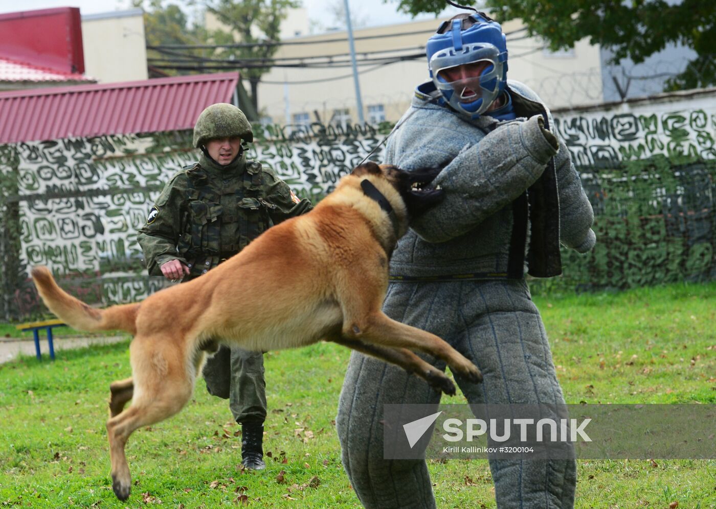 Training working dogs of the Russian National Guard