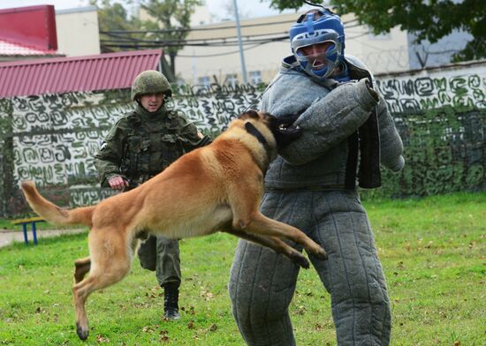Training working dogs of the Russian National Guard