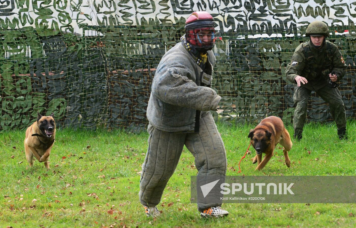 Training working dogs of the Russian National Guard