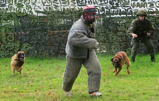 Training working dogs of the Russian National Guard