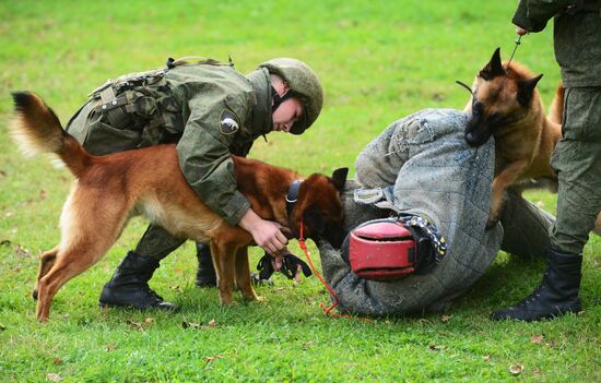Training working dogs of the Russian National Guard