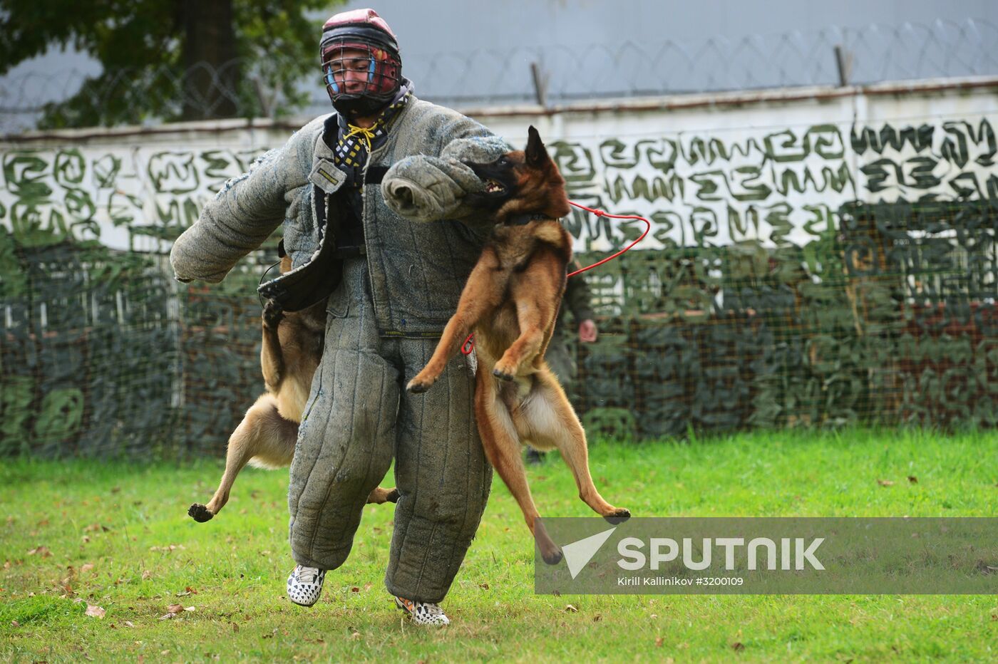 Training working dogs of the Russian National Guard