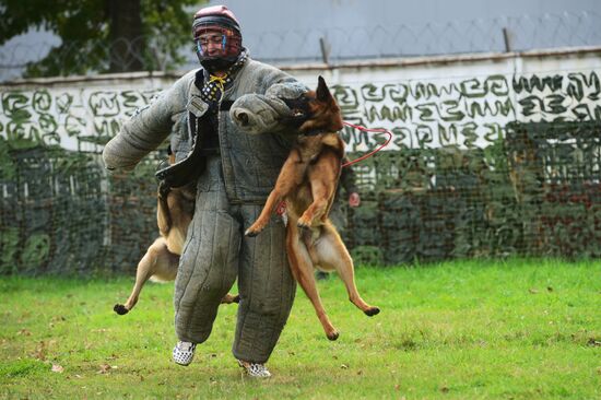 Training working dogs of the Russian National Guard