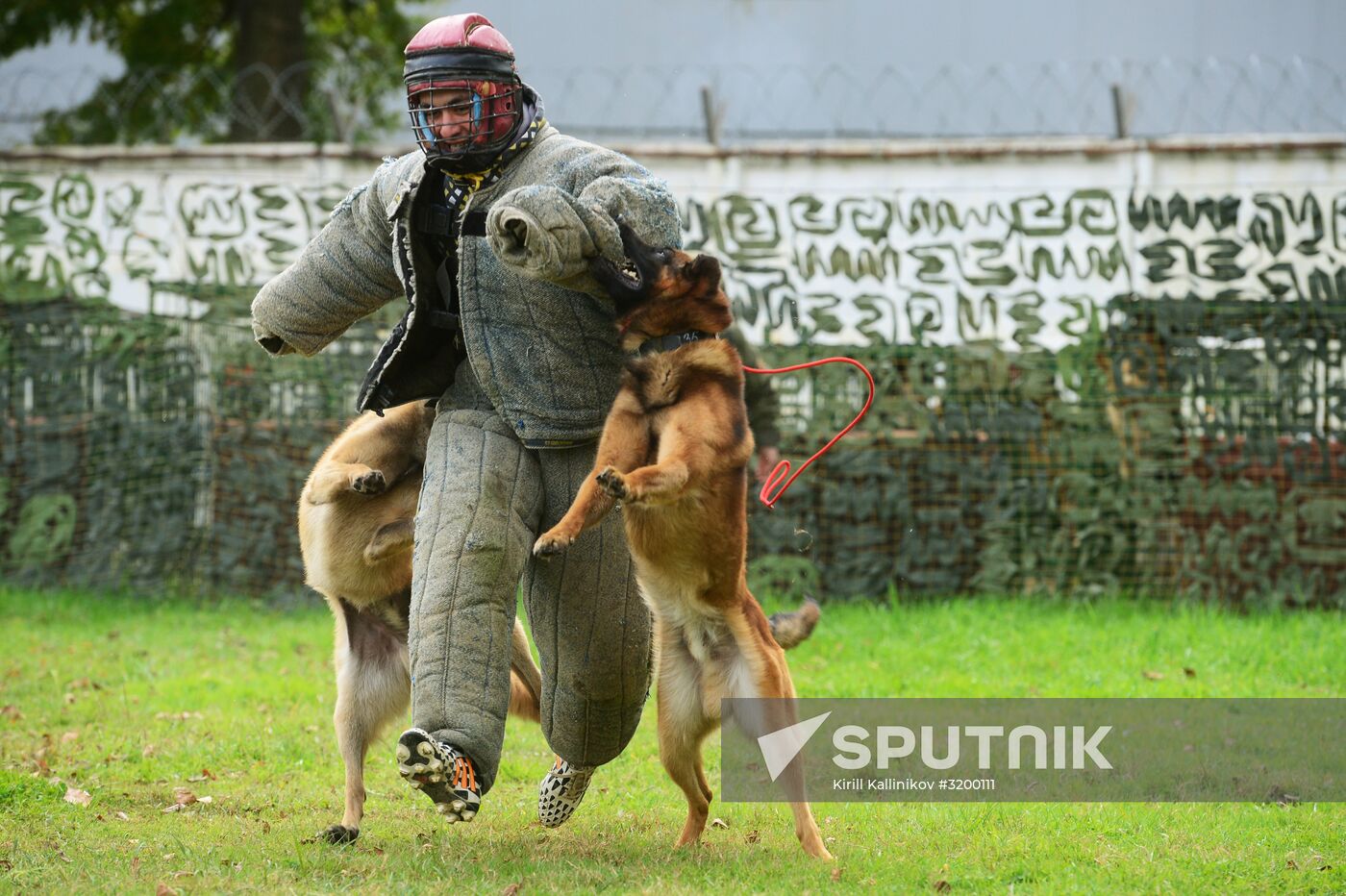 Training working dogs of the Russian National Guard