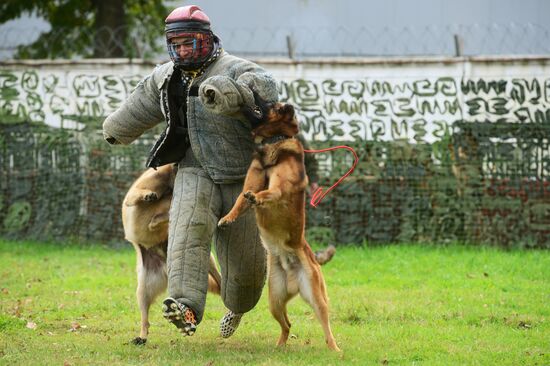 Training working dogs of the Russian National Guard