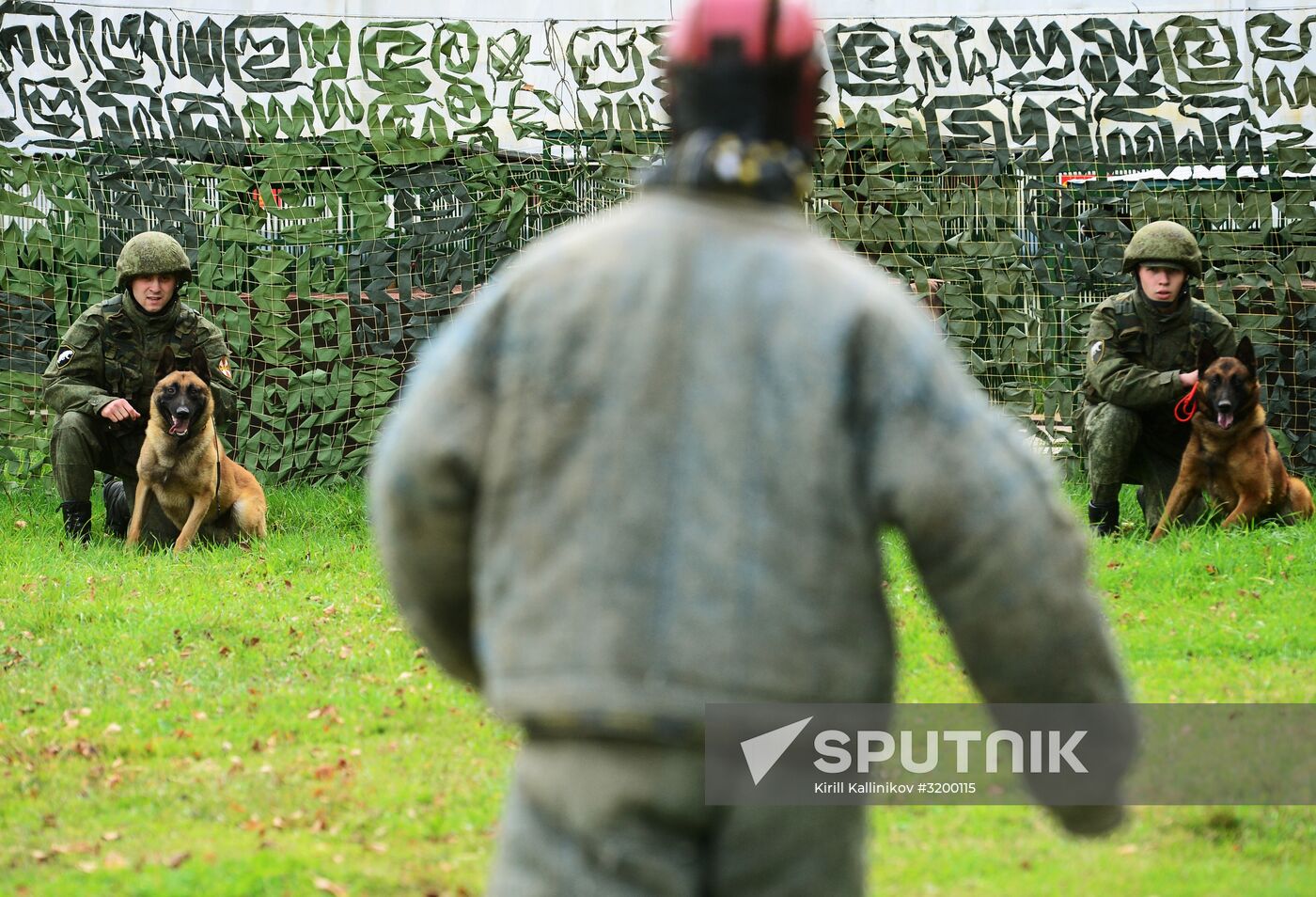 Training working dogs of the Russian National Guard