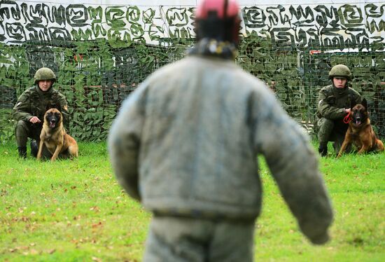 Training working dogs of the Russian National Guard