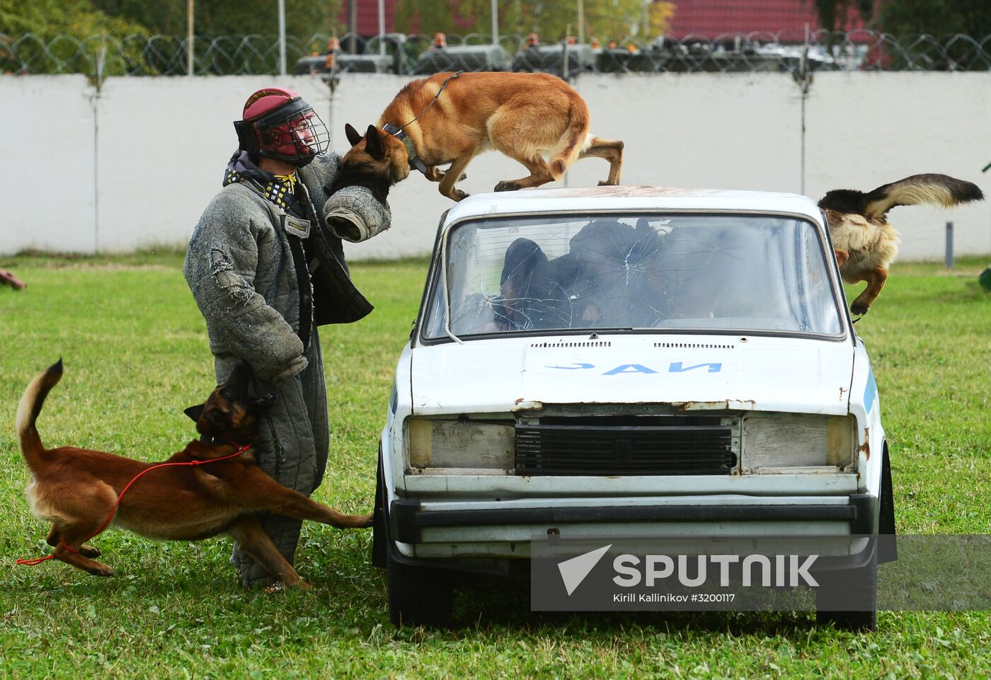 Training working dogs of the Russian National Guard