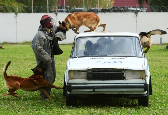 Training working dogs of the Russian National Guard