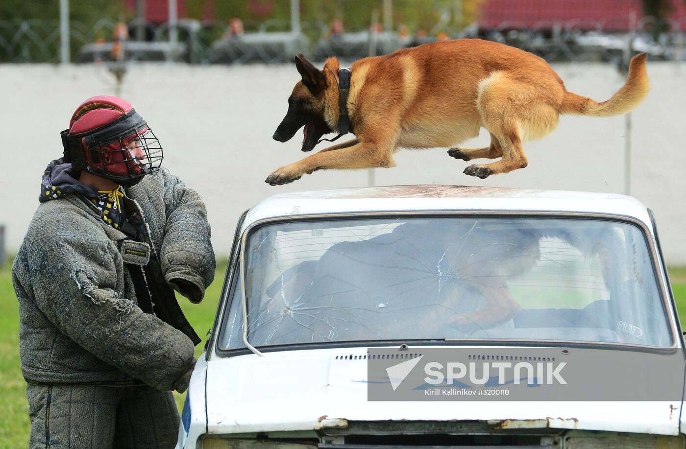 Training working dogs of the Russian National Guard