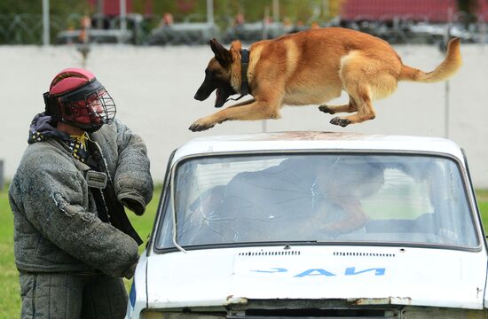 Training working dogs of the Russian National Guard