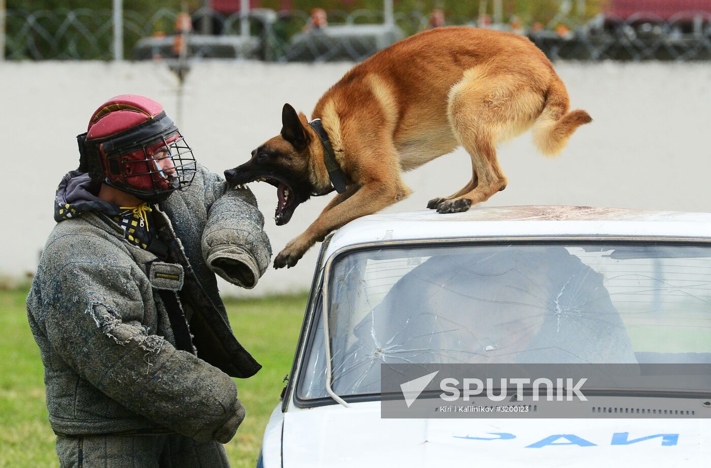 Training working dogs of the Russian National Guard