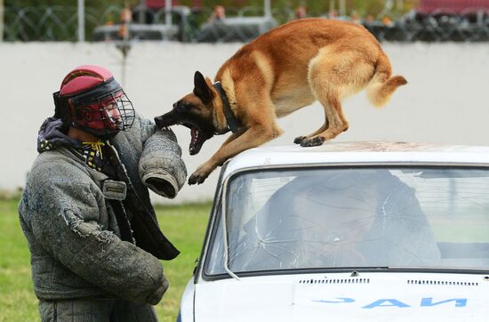 Training working dogs of the Russian National Guard