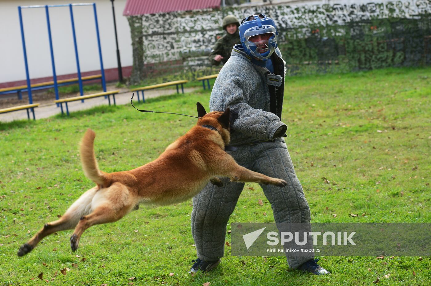 Training working dogs of the Russian National Guard
