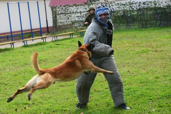 Training working dogs of the Russian National Guard
