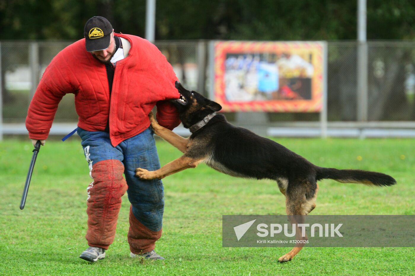Training working dogs of the Russian National Guard