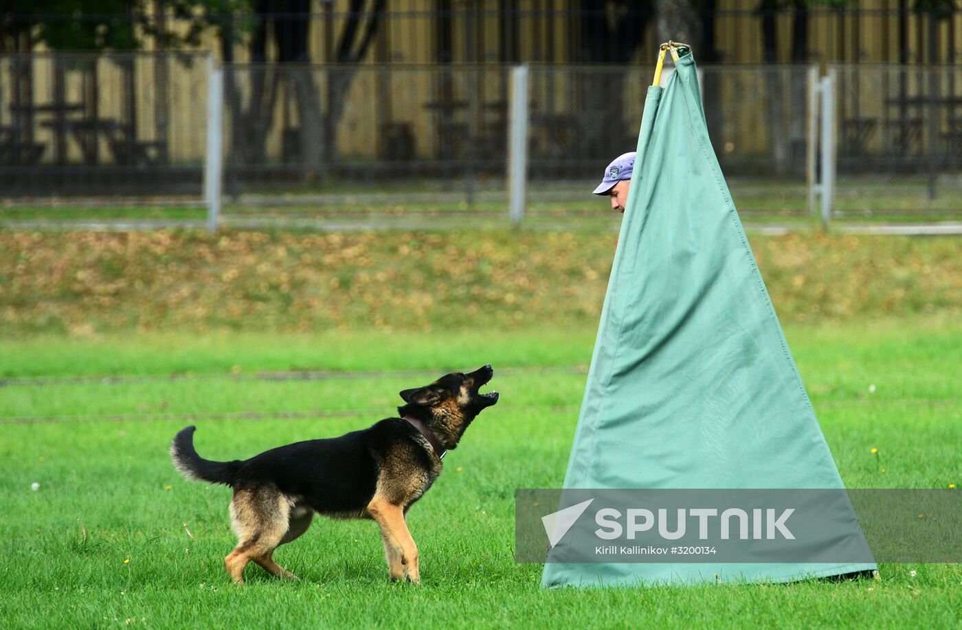 Training working dogs of the Russian National Guard