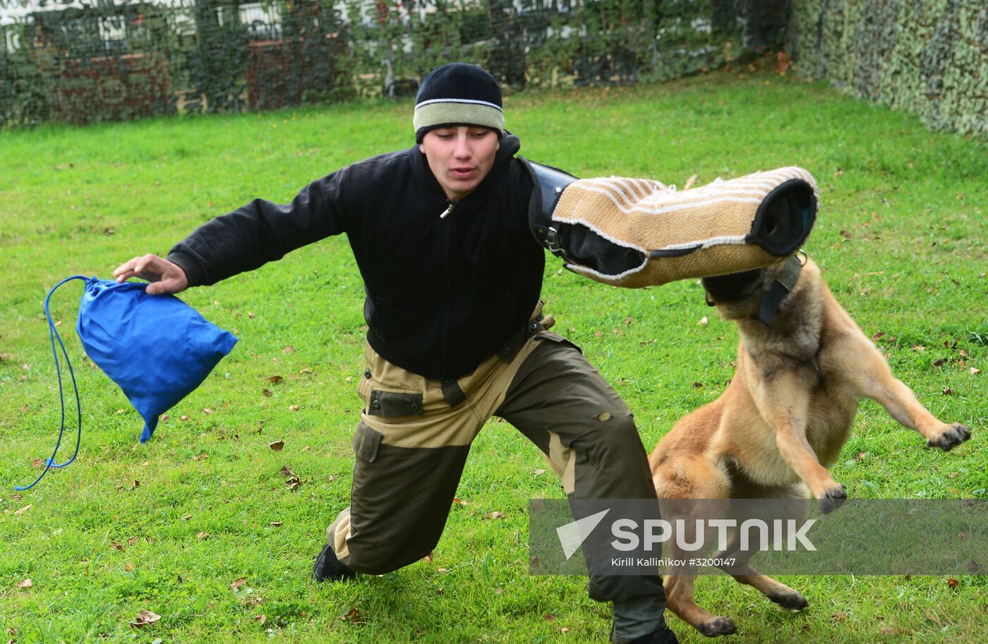 Training working dogs of the Russian National Guard