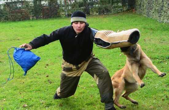 Training working dogs of the Russian National Guard