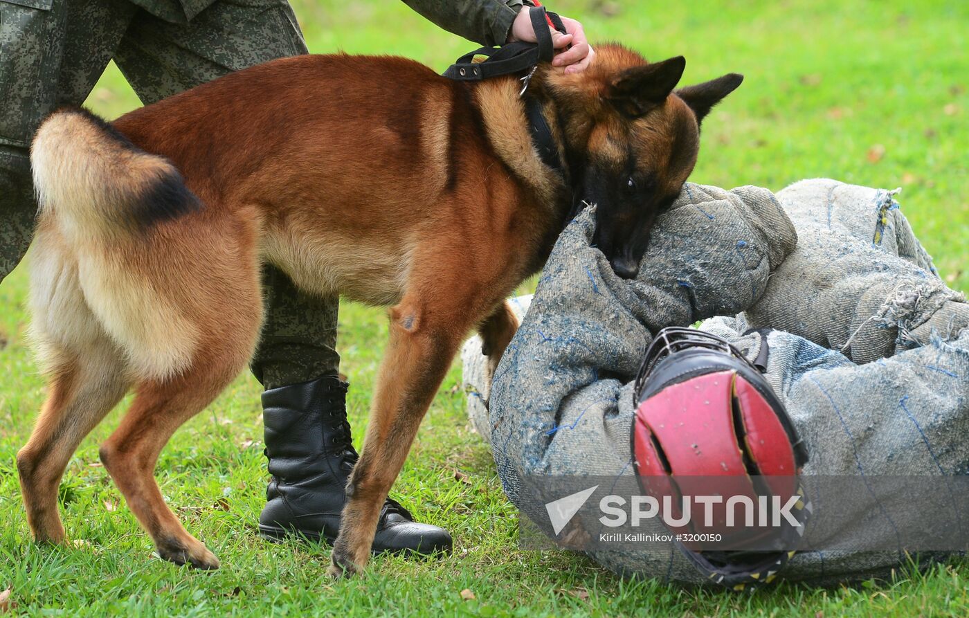 Training working dogs of the Russian National Guard