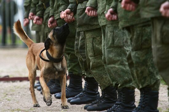 Training service dogs of Russian National Guard