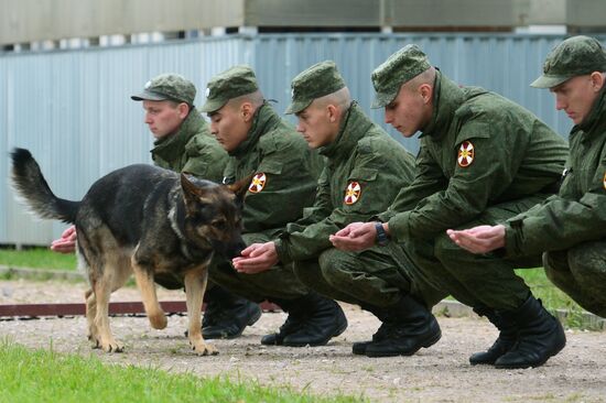 Training service dogs of Russian National Guard