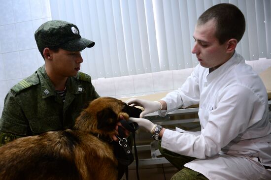 Training service dogs of Russian National Guard