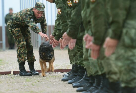 Training service dogs of Russian National Guard