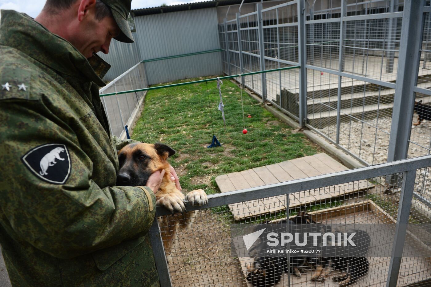 Training service dogs of Russian National Guard