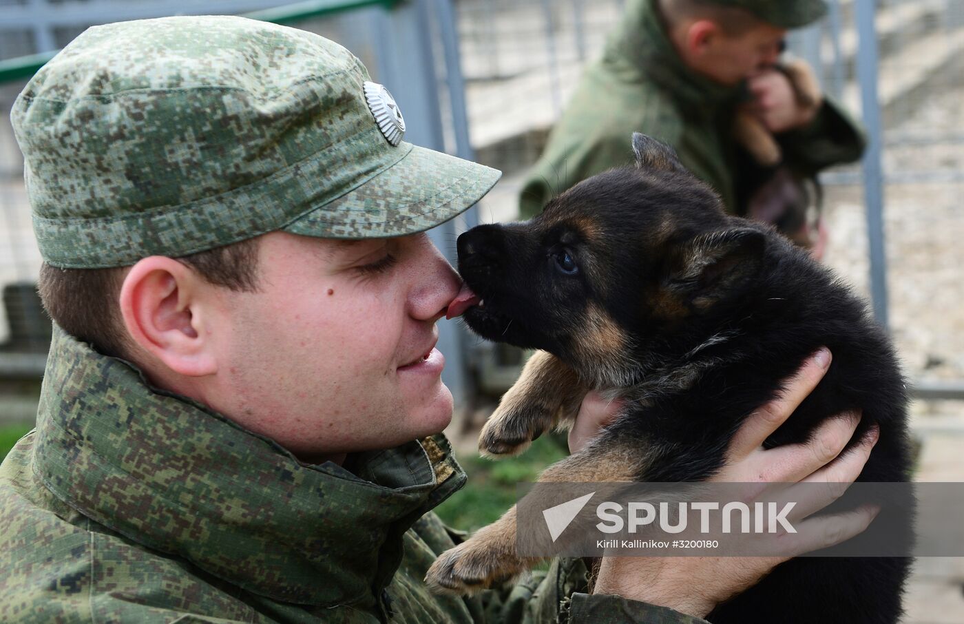 Training working dogs of the Russian National Guard