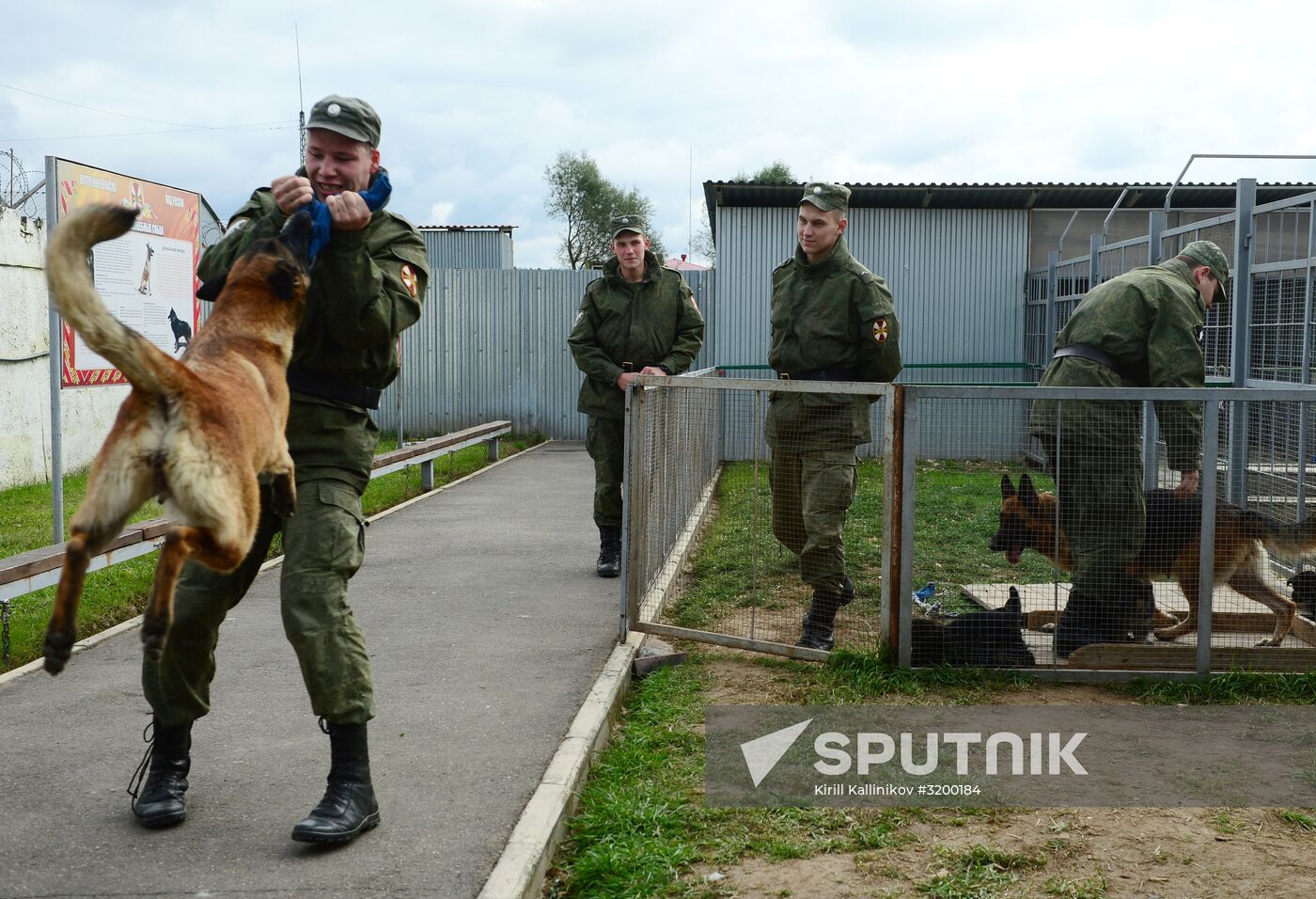 Training service dogs of Russian National Guard