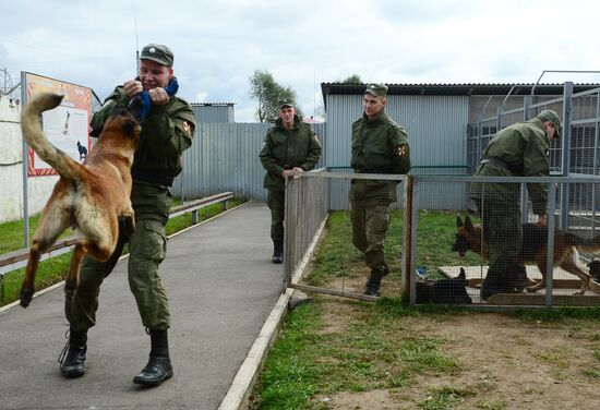 Training service dogs of Russian National Guard