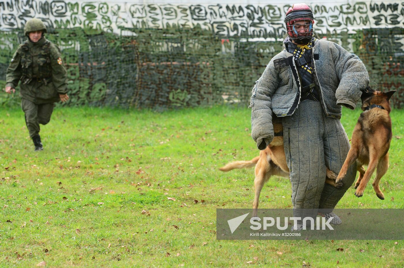 Training working dogs of the Russian National Guard