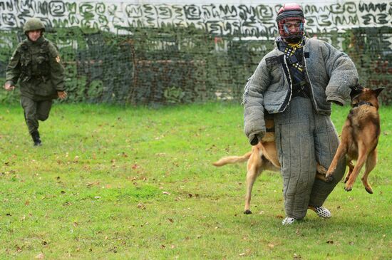 Training working dogs of the Russian National Guard