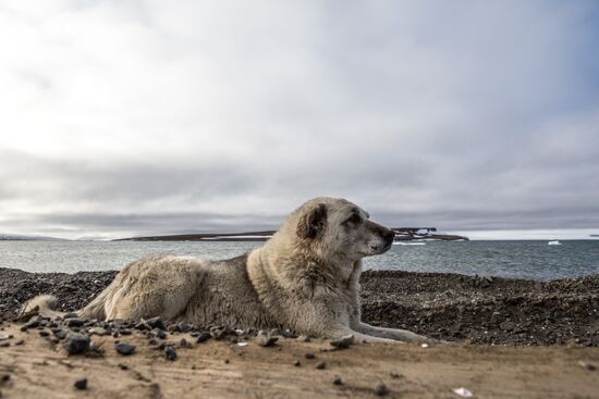 Ernst Krenkel Polar Station on Heiss Island, Franz Josef Land
