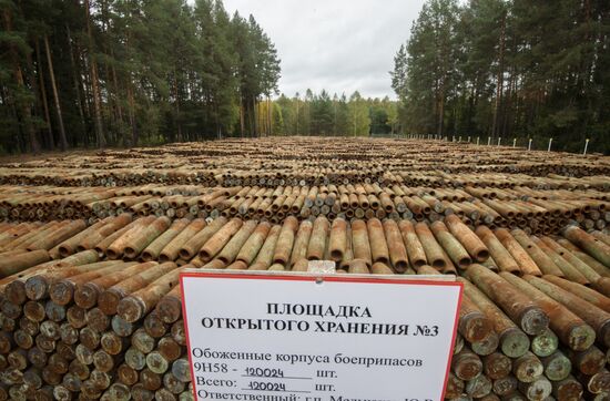 Russia completes program for chemical weapon destruction